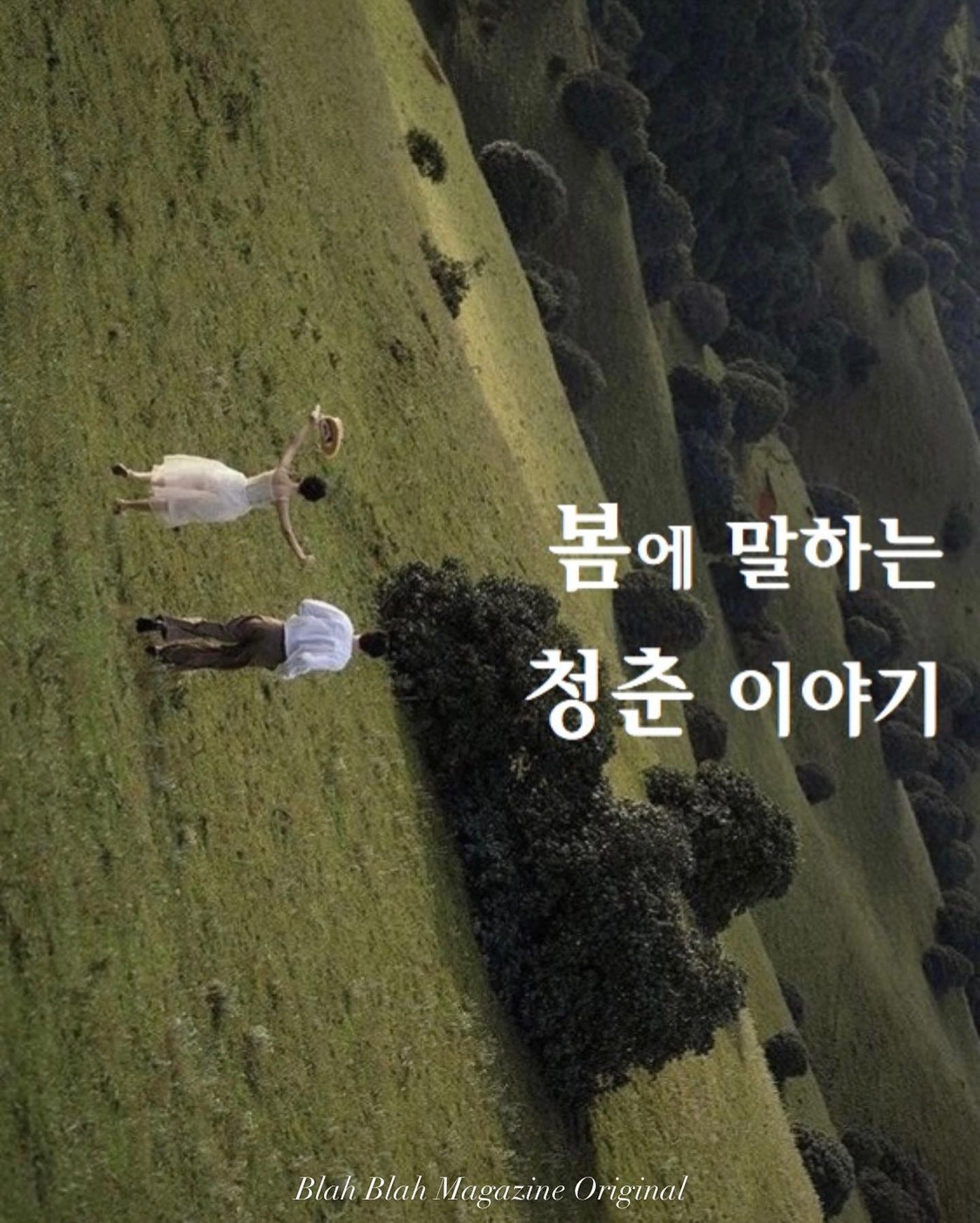 봄에 말하는 청춘 이야기 — 사진 1